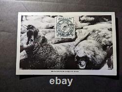 1955 Australia Postcard First Day Cover FDC Macquarie Island Sea Elephants